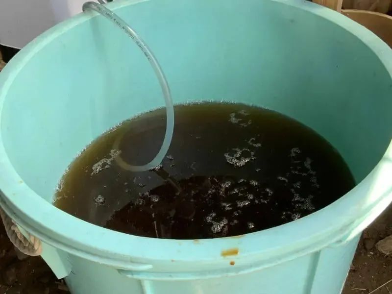 烂菜烂水果制作有机肥的方法（手把手教你制作有机肥）
