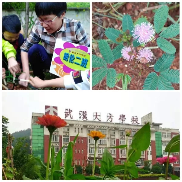 坚守大方学校14年，这位老师深受同事敬重，家长信任，学生爱戴