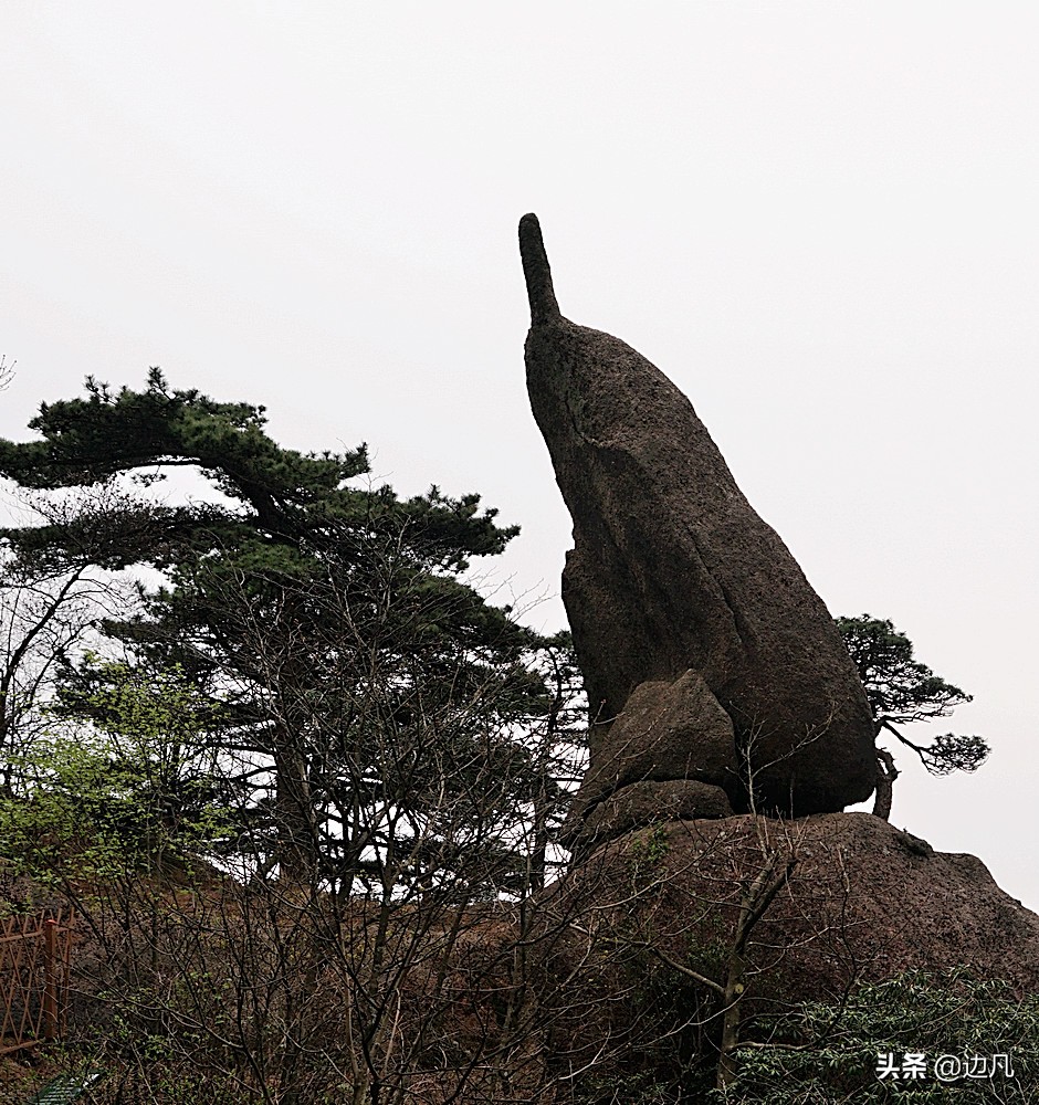 迎客松在哪里（黄山大名鼎鼎的黄山迎客松景点分享）