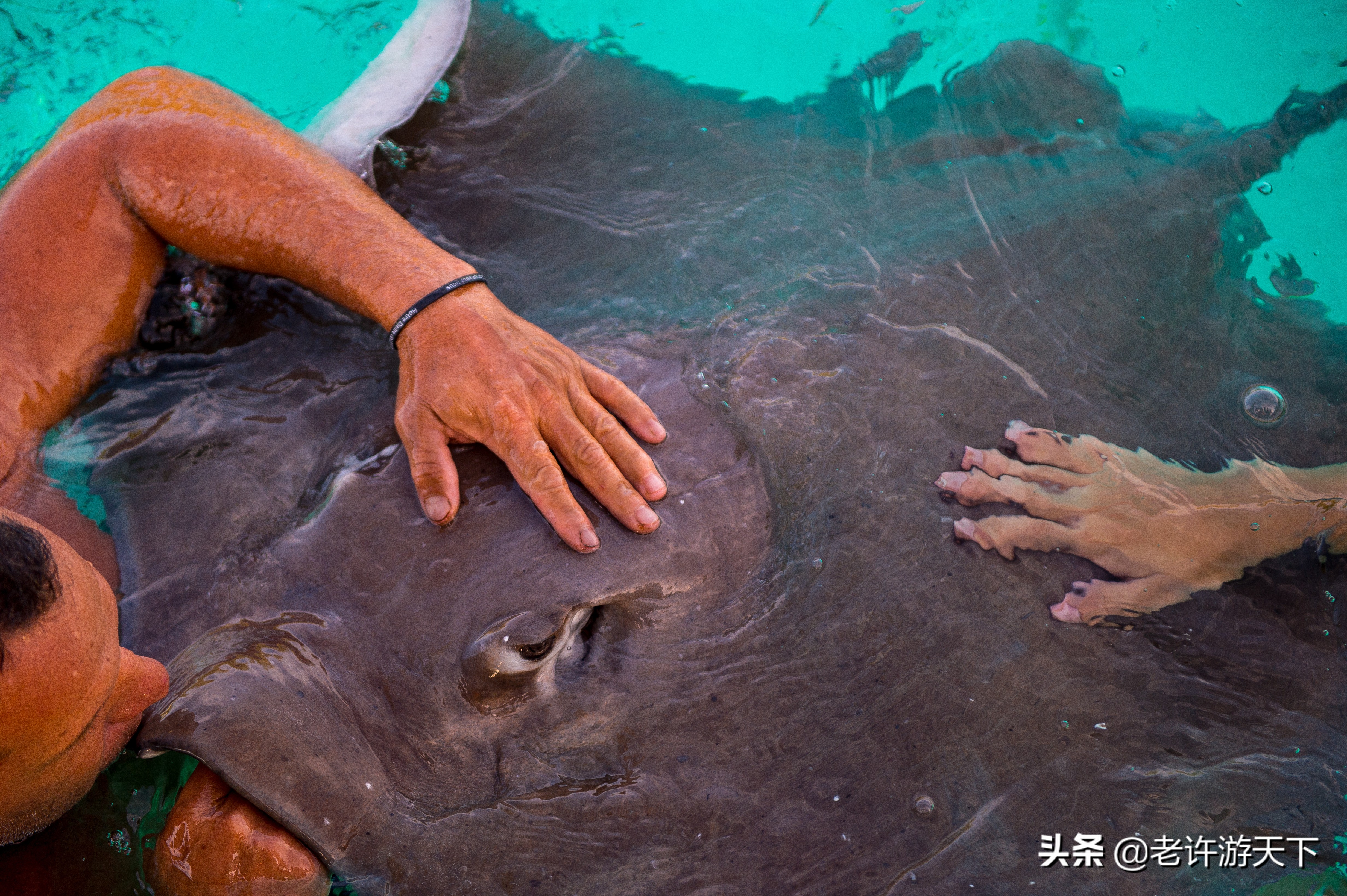 世界十大海岛旅游胜地（世界10个美丽海岛堪称度假胜地）