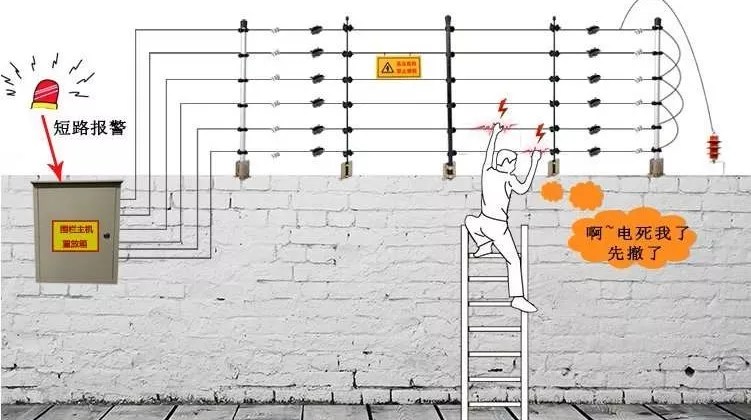 弱电工程电子围栏系统安装全过程讲解