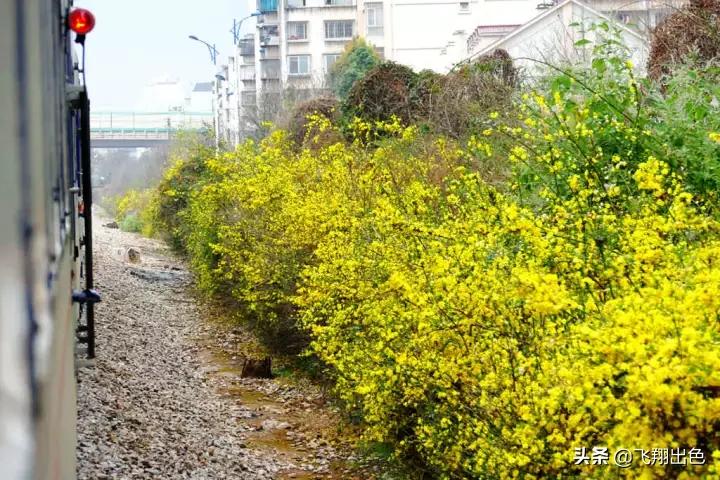 昆明到石咀多少钱(云南第5站丨记录2017年穿梭于昆明市区的米轨火车，全程票价6元)