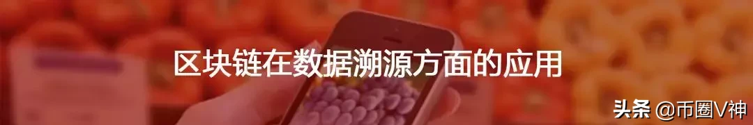 盘点丨全球六大热门区块链身份认证项目