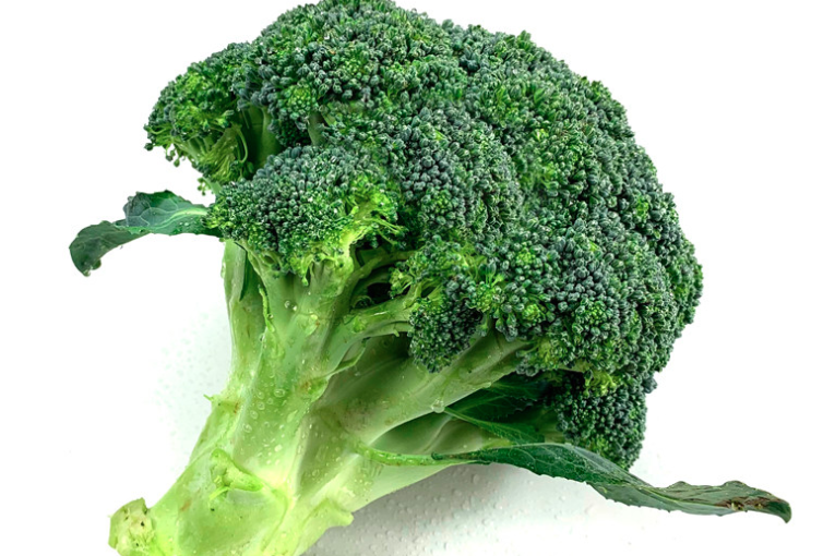 图片[5]-花菜和西兰花 为何价格相差好几倍？让菜农告诉你 究竟差在哪-起舞食谱网