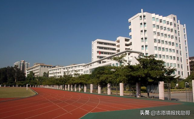 新高考专科，老文理数据相差太大，填志愿太难了？这里有好办法