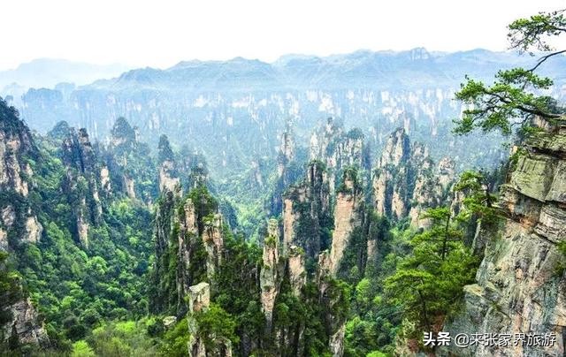 张家界三大王牌景区分布图，不走回头路的旅游线路推荐