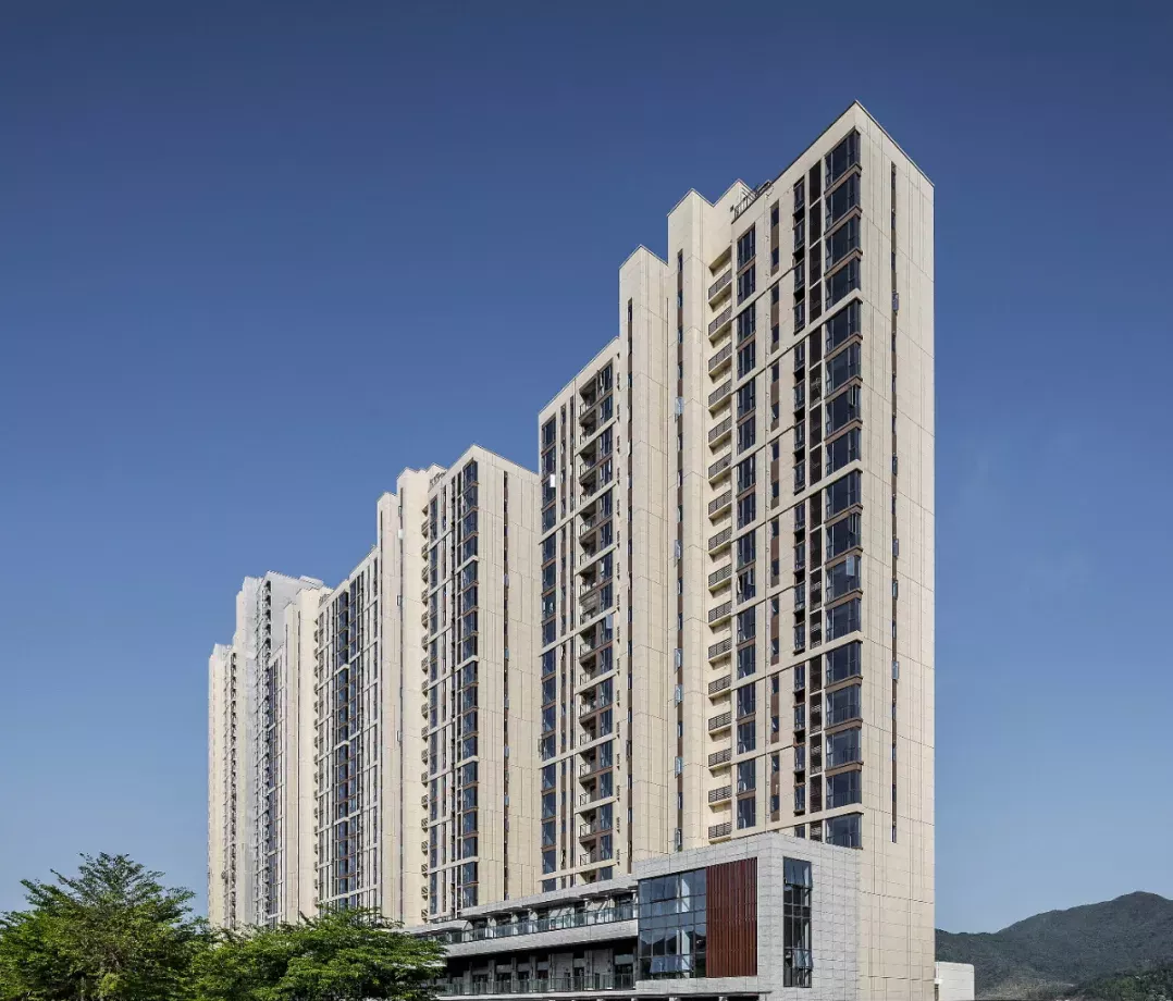 汇聚人大、深中、明德等多所名校，深圳新兴教育强区正在崛起