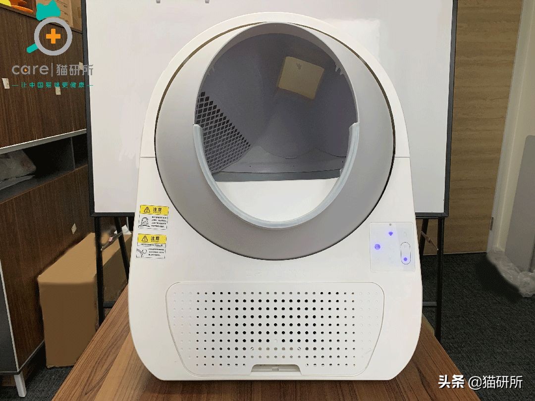 又双叒卡猫！花10000元测评自动猫砂盆到底安不安全？