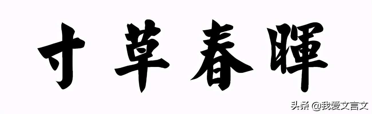 经典文言文赏析 | 张五不复猎