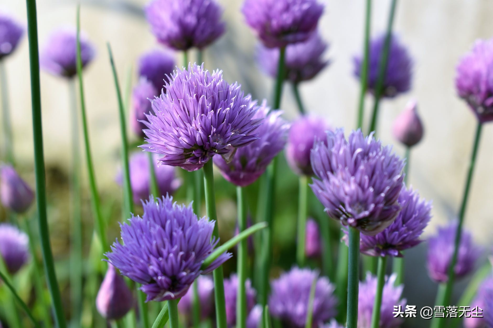 女人，试着“狠一点”，你会活得更漂亮