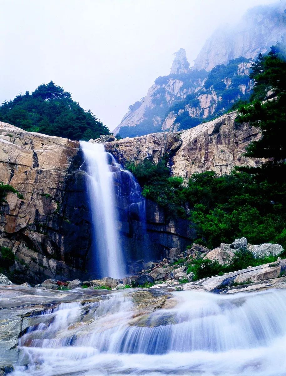 5块钱的泰山,为什么在现实中看不到?