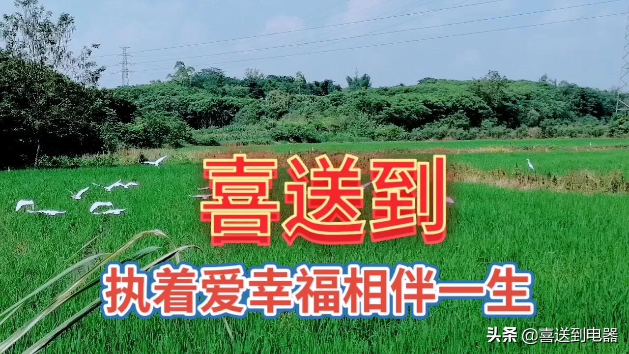 冒菜加盟需要注意哪些關鍵要點，細節，方面問題？值得一看