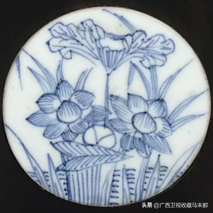 荷花随处可见,你有没有见过并蒂莲?