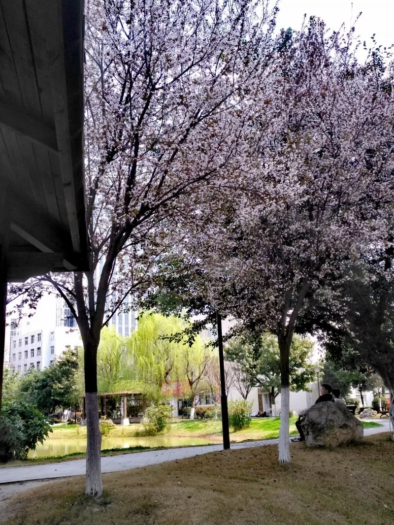 全国第一所文化产业高职院校，素有文产类“黄埔军校”美誉