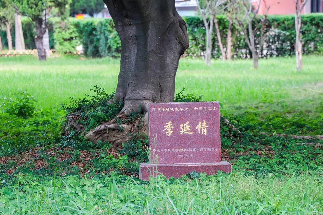 泉州这所中学，办过世界级比赛，还有独立露天游泳池？！厉害了！