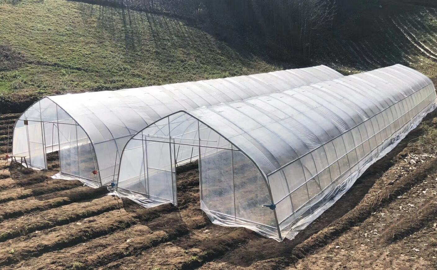 一种家庭种菜大棚,设计,安装简单,造价极低,适合各种蔬菜种植