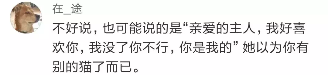 还在怀疑猫辱骂你？喵语六级课堂开课啦！