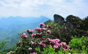 龙头山——无限风光在险峰