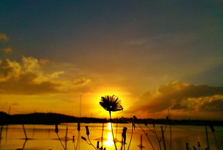 「诗词鉴赏」才有斜阳景更佳，古诗词里的夕照，夕阳无限好