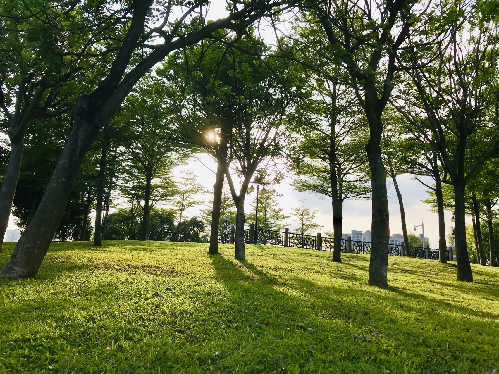 5个超神的心理暗示，激励你做成任何事