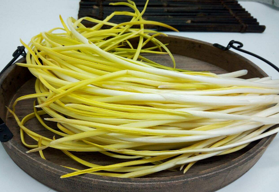 黄.韭菜每斤20元,每亩地收益上万元,为啥却没人种?