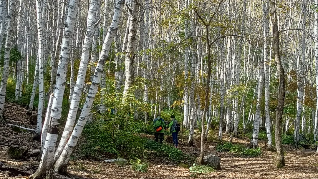 ​十月的喇叭沟彩叶漫山溪水潺潺美翻啦！