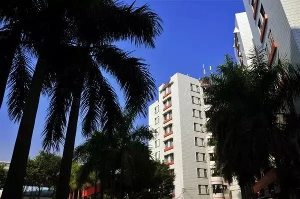 高职高考必看｜全面了解广东南华工商职业学院