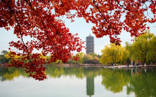 2021文科类高校排行榜公布，复旦大学排名第三，榜首实至名归