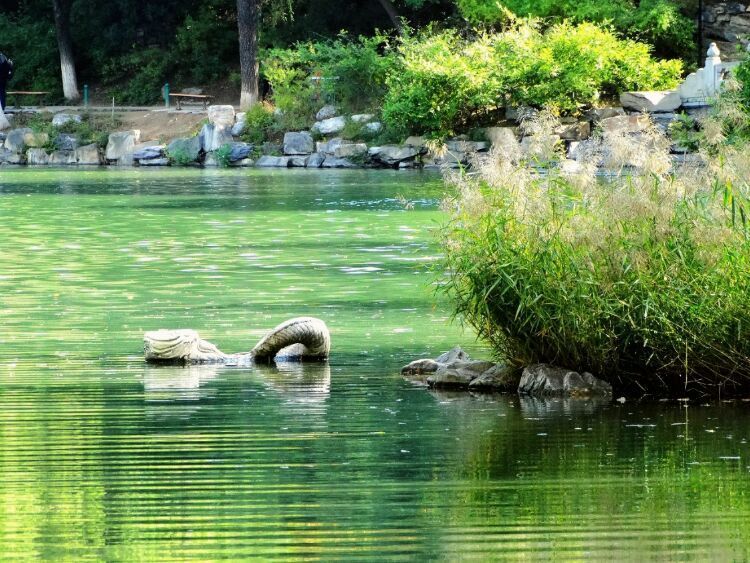 北大印象，漫步北大校园