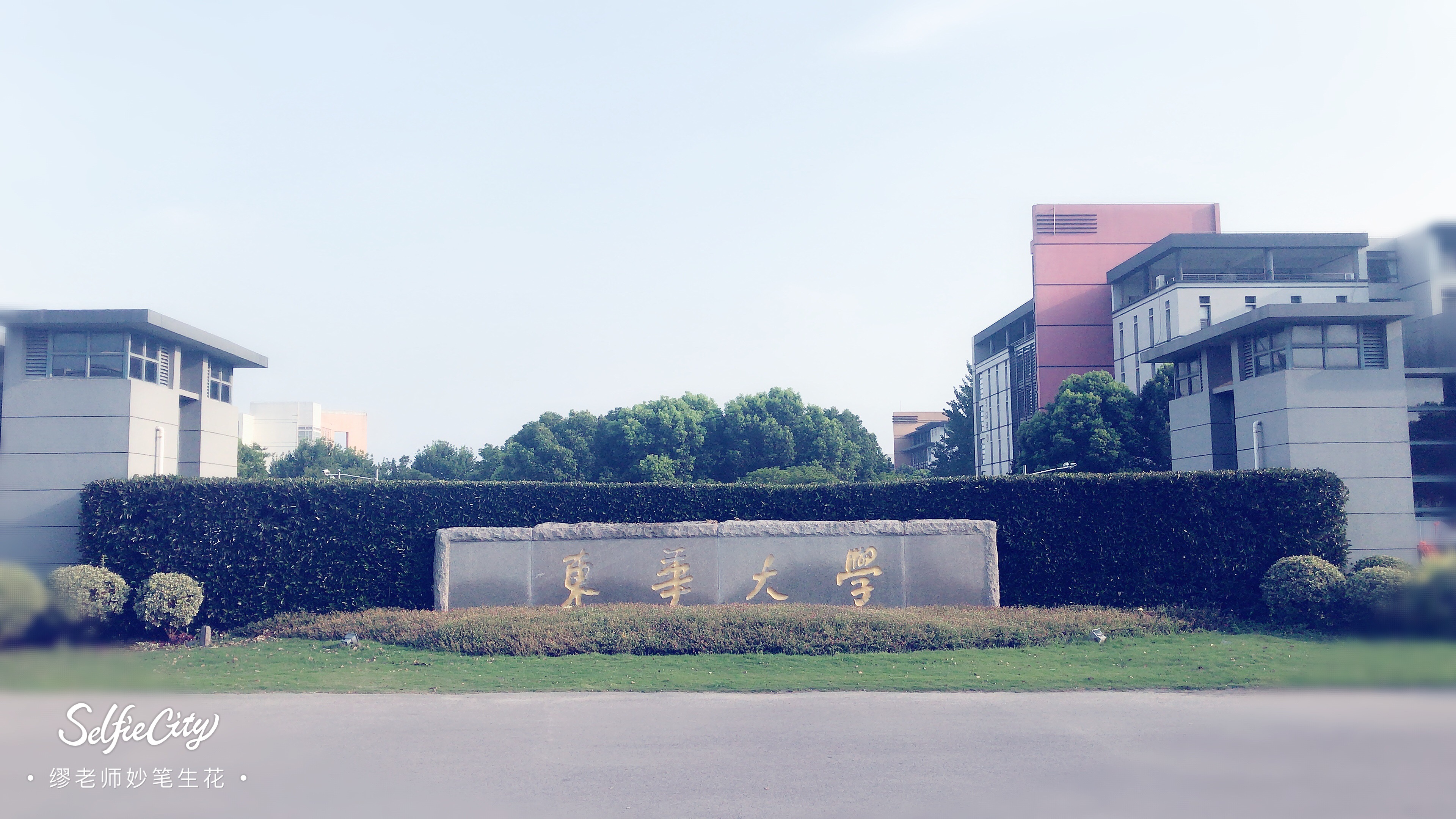 重点大学中外合办专业，优缺点都有3个，你会不会报考？