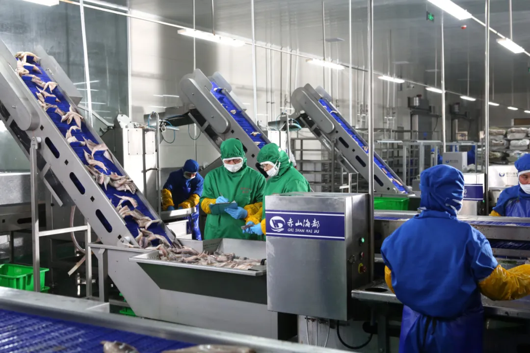 来荣成读大学：在蓝天碧海间绽放最美青春