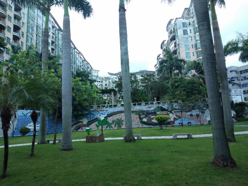 珠海的美毋庸置疑！吉大的由来，你信哪一个