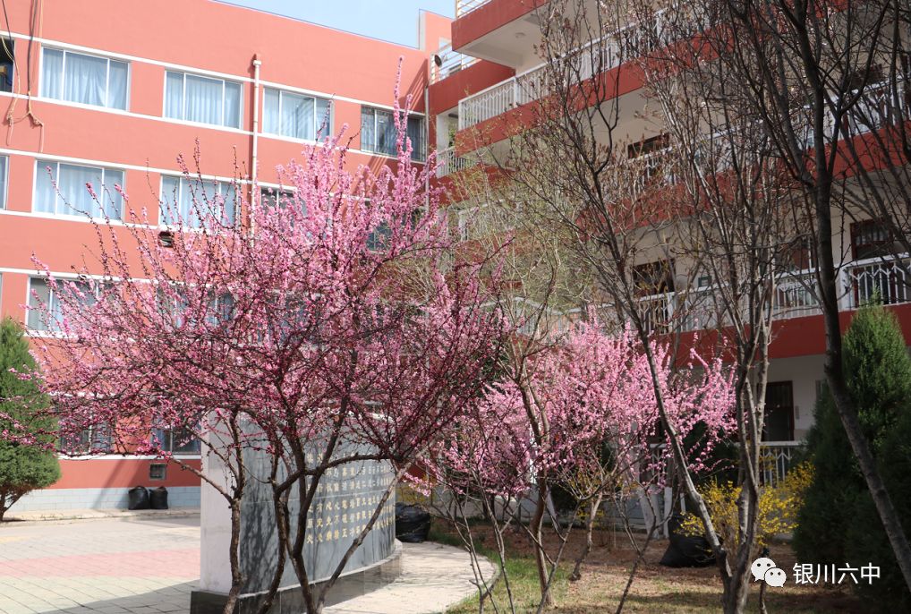 银川市第六中学2020年秋新高一教师团队简介-理化生政史地教师篇