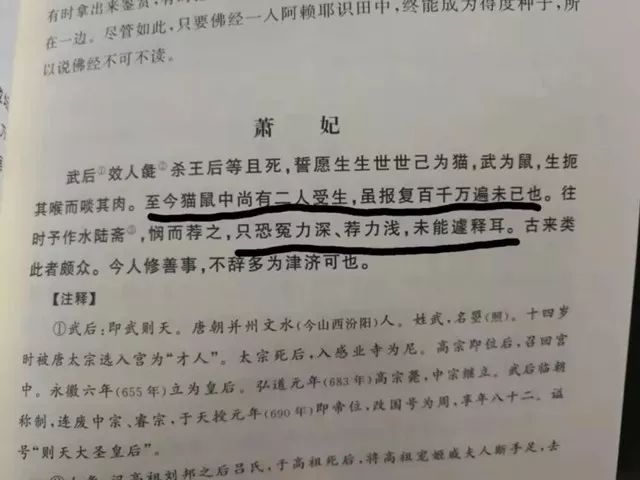 人死后去了哪里？看看佛学大师怎么说