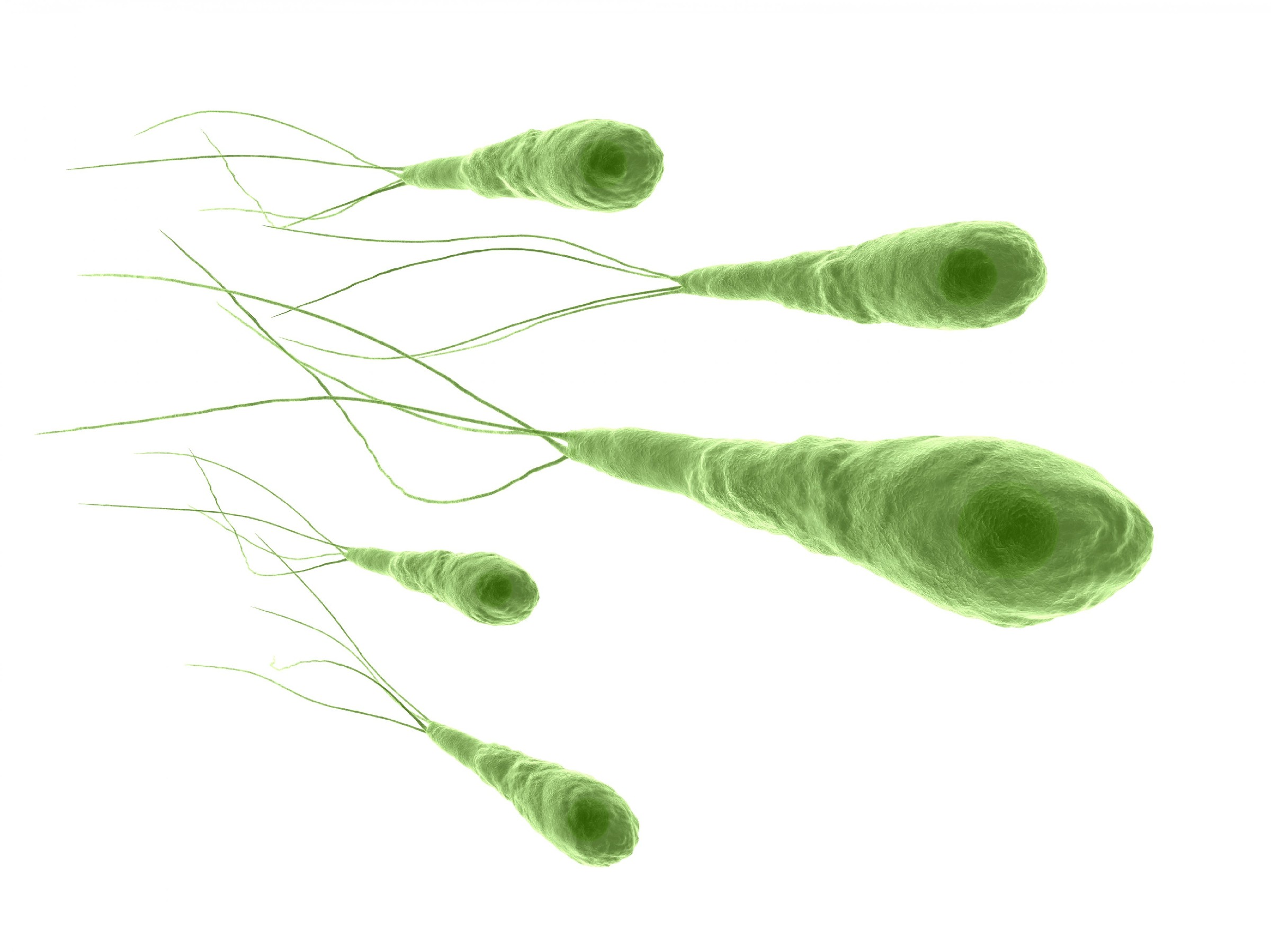 四个月宝宝腹泻怎么办（四个半月婴儿拉肚子怎么办？）-趣拿体育