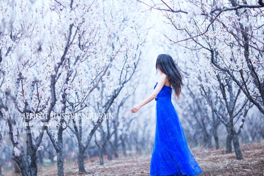 桃李芬芳是什么意思（成语解析之桃李芬芳的含义）