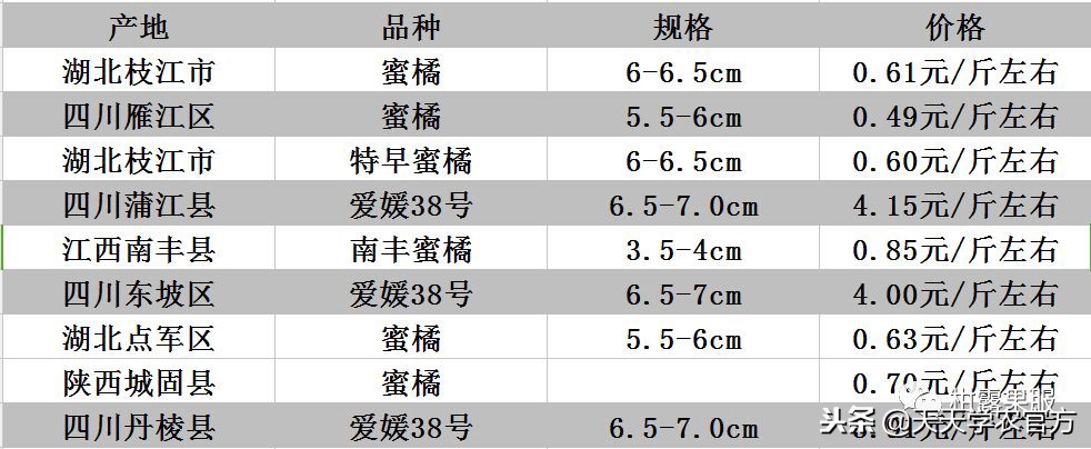 十月柑橘市场回顾，沙田柚居然比红美人还贵！真的吗？