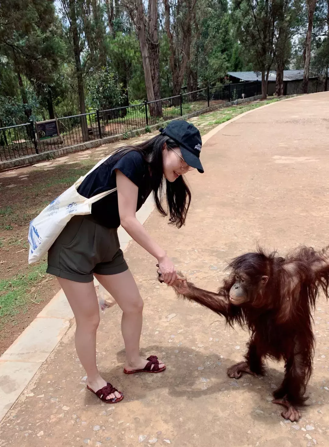 申请季玩滑板把脚摔断还能拿到3个CMU CS类offer是一种什么体验