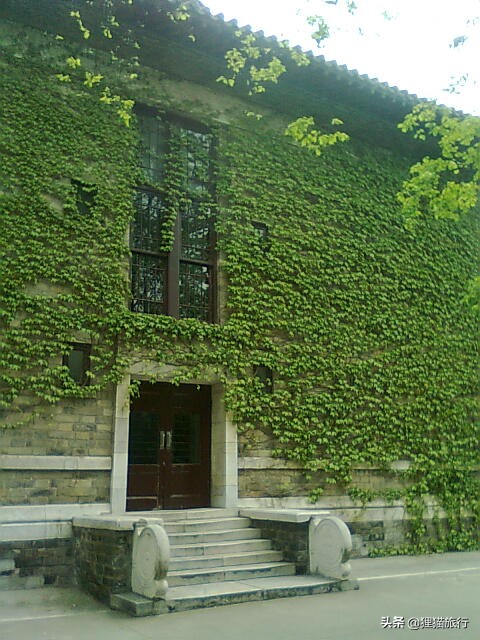 百年名校南京大学一日游，八年前的老照片带你回忆南大