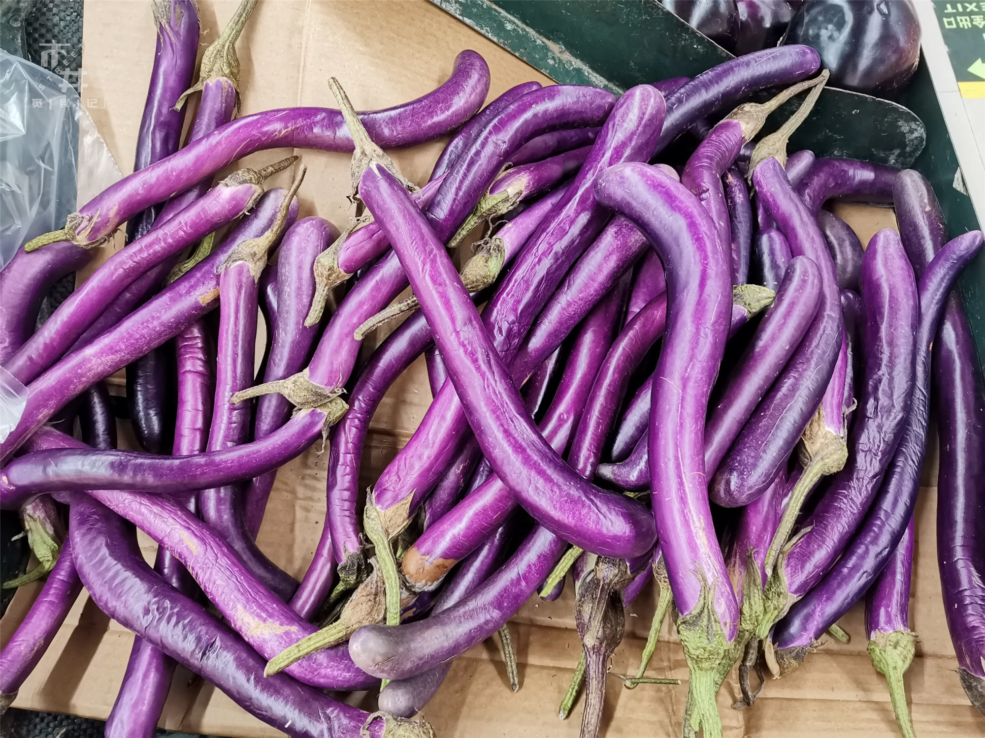 买茄子，圆茄子好还是长茄子好？不同品种不同做法，别搞错了