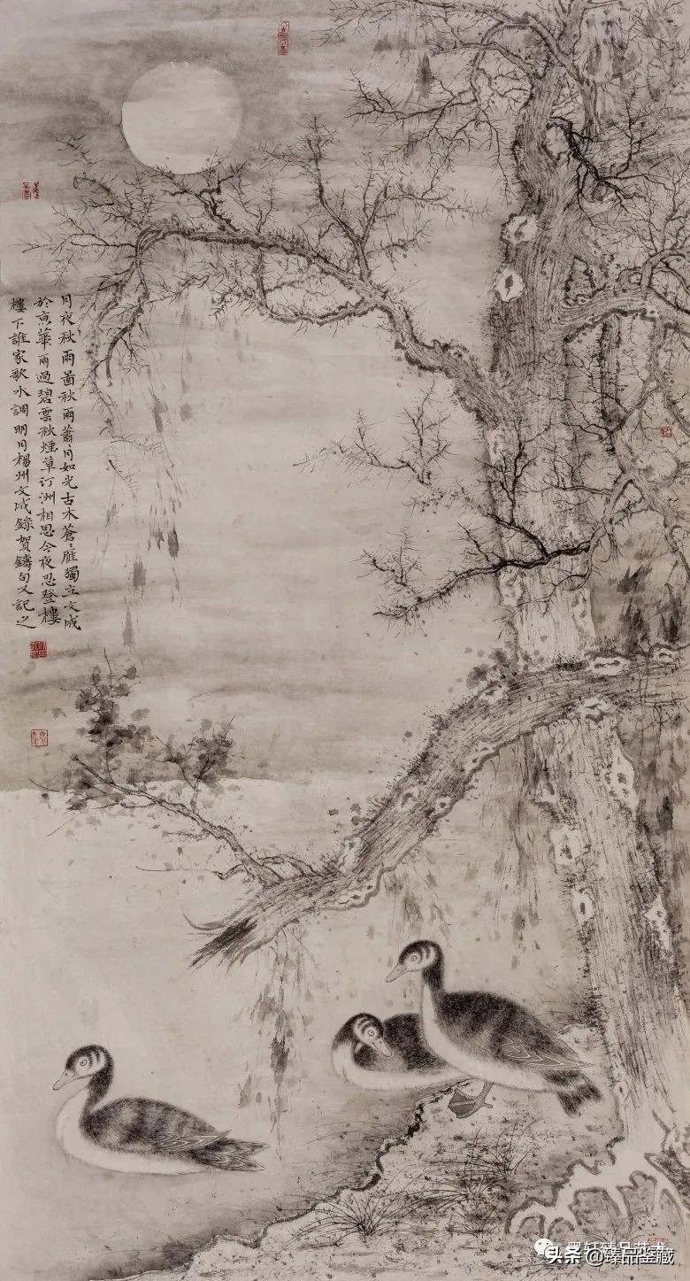 走到黑走到明 | 孔文成花鸟画的脉路