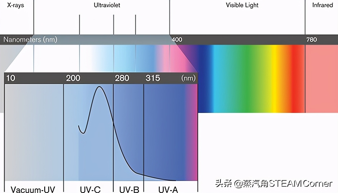 蜻蜓的眼睛有什么特点（蜻蜓的眼睛有什么特点,20字）-第4张图片-易算准