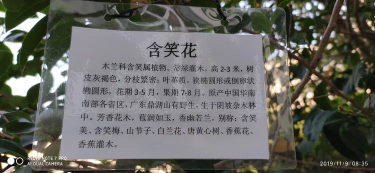 陪你一起看湖北省广水一中①——走进植物王国