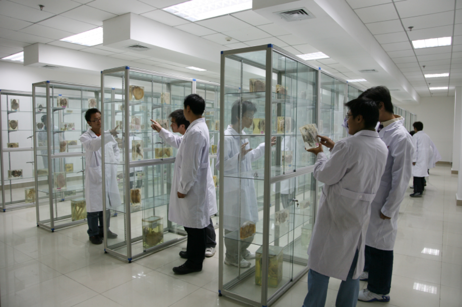 想进入985高校当老师，你需要具备三项条件，仅博士学位还不够