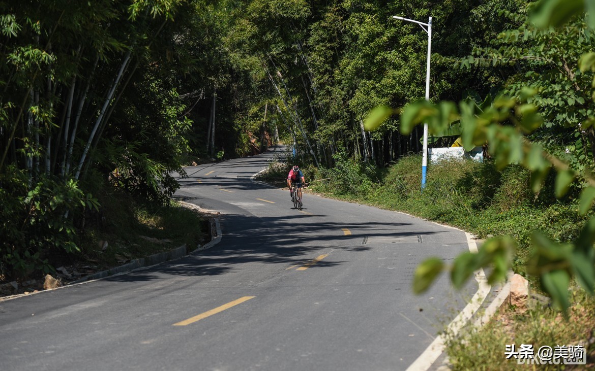 sworks公路车价格(好骑的超轻“老鸟车”S-Works Aethos公路车评测)