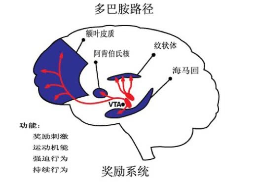 儿子4万打赏，妈妈绝望：我装一袋水泥1块钱！这类孩子有这个通病