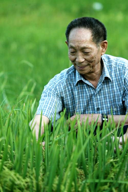 袁隆平院士的励志名言，定会给我们的人生以重要启迪