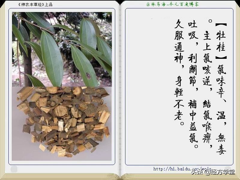 《神农本草经》全册图文解析 建议收藏