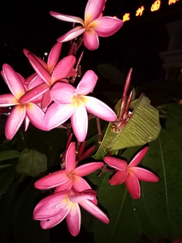 陈慧琴｜师傅领进门，修行看个人；精进写作，未来可期