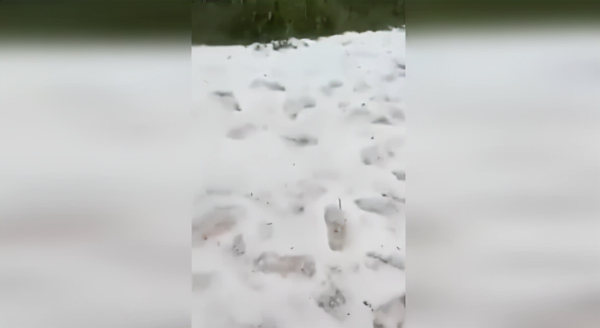 南非世界杯下雪了吗(非洲赤道附近突然冰雹降雪！民众开心如过年，背后隐情却让人担忧)